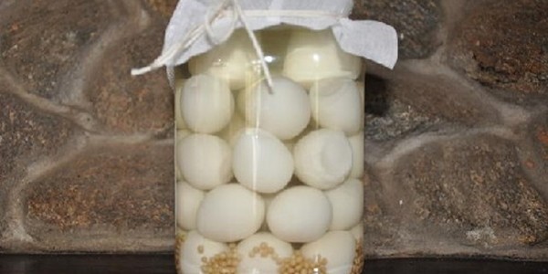 Ovos de Codorna em Conserva