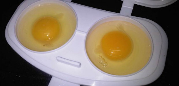 Ovos no Microondas